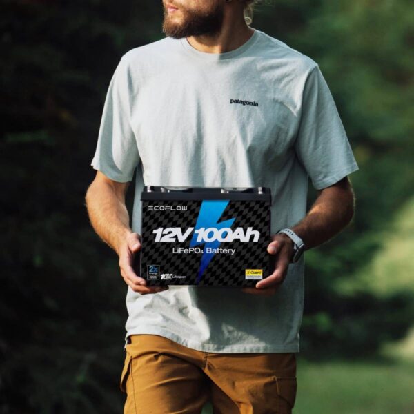 Тяговый аккумулятор EcoFlow 1