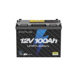 Тяговый аккумулятор EcoFlow 1