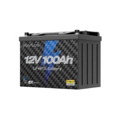 Тяговый аккумулятор EcoFlow 1