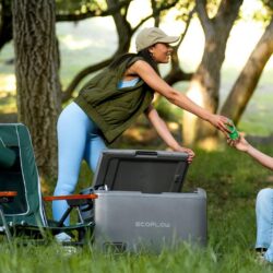 EcoFlow GLACIER Classic — компрессорный холодильник с аккумулятором 1